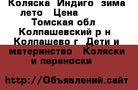 Коляска “Индиго“ зима-лето › Цена ­ 6 000 - Томская обл., Колпашевский р-н, Колпашево г. Дети и материнство » Коляски и переноски   